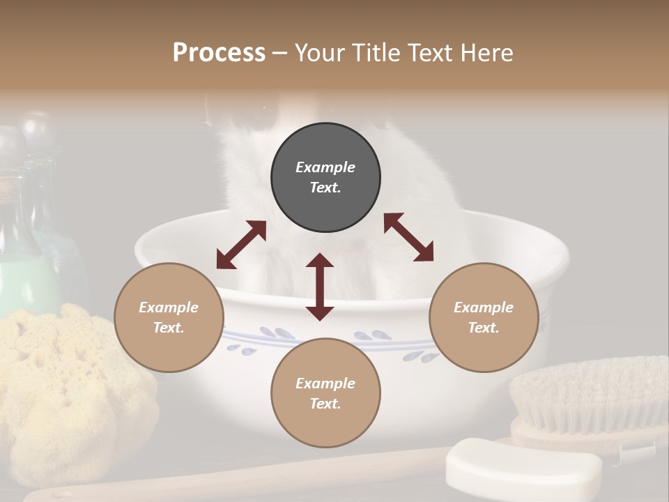 Purebred Brush Copy Space PowerPoint Template