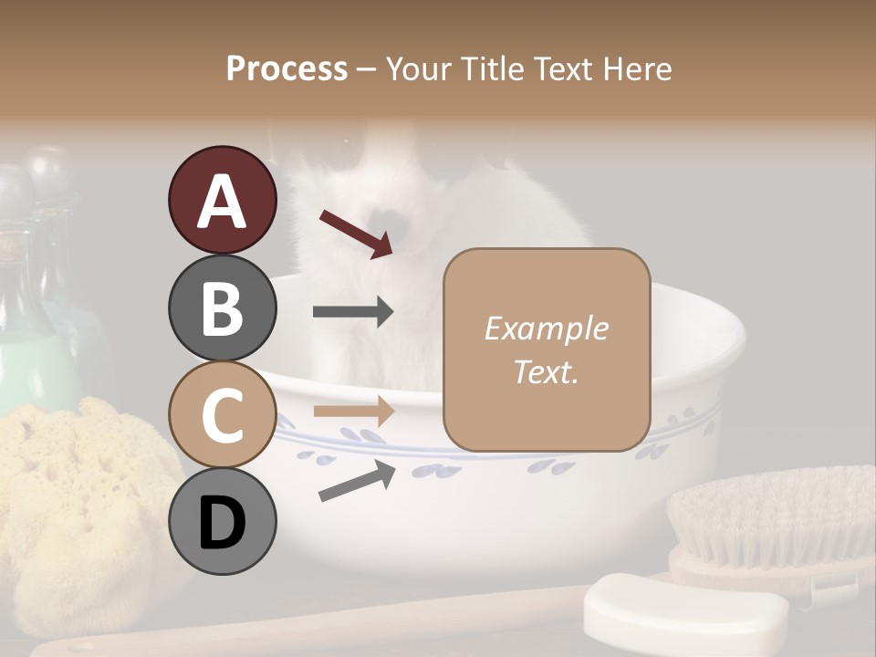 Purebred Brush Copy Space PowerPoint Template