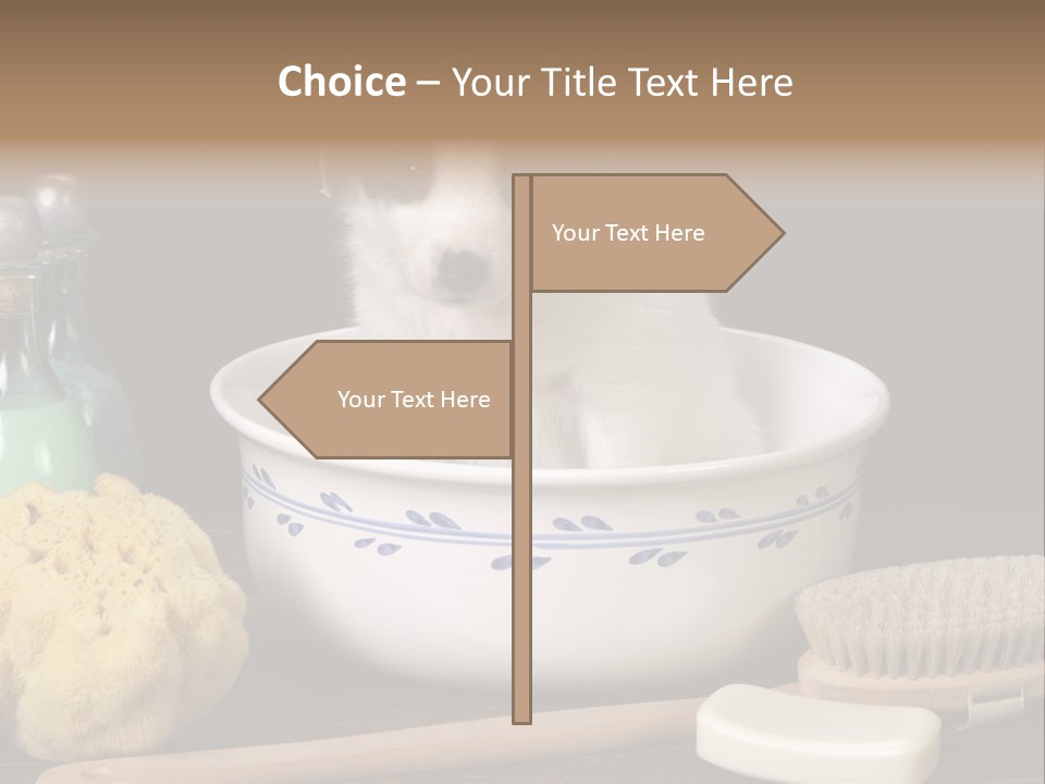 Purebred Brush Copy Space PowerPoint Template