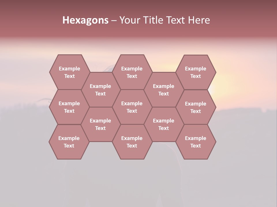 The Girl Looks At The Sunset PowerPoint Template