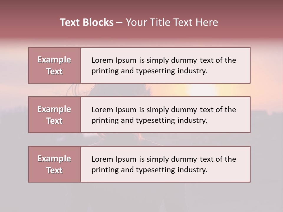 The Girl Looks At The Sunset PowerPoint Template