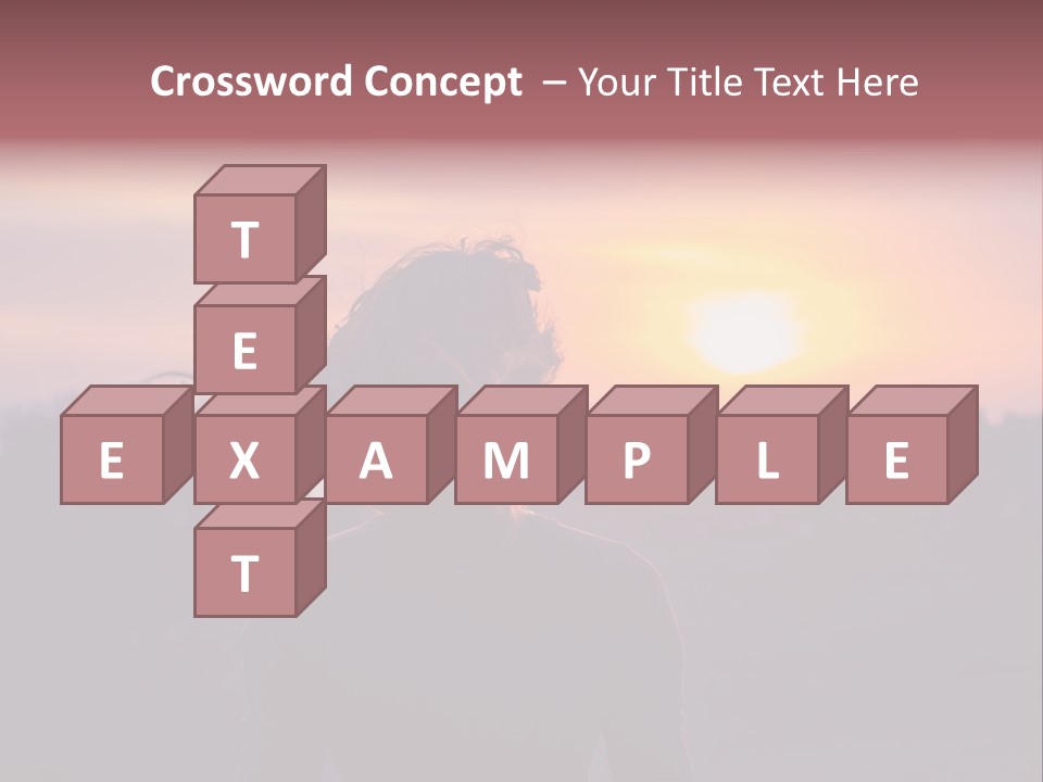 The Girl Looks At The Sunset PowerPoint Template