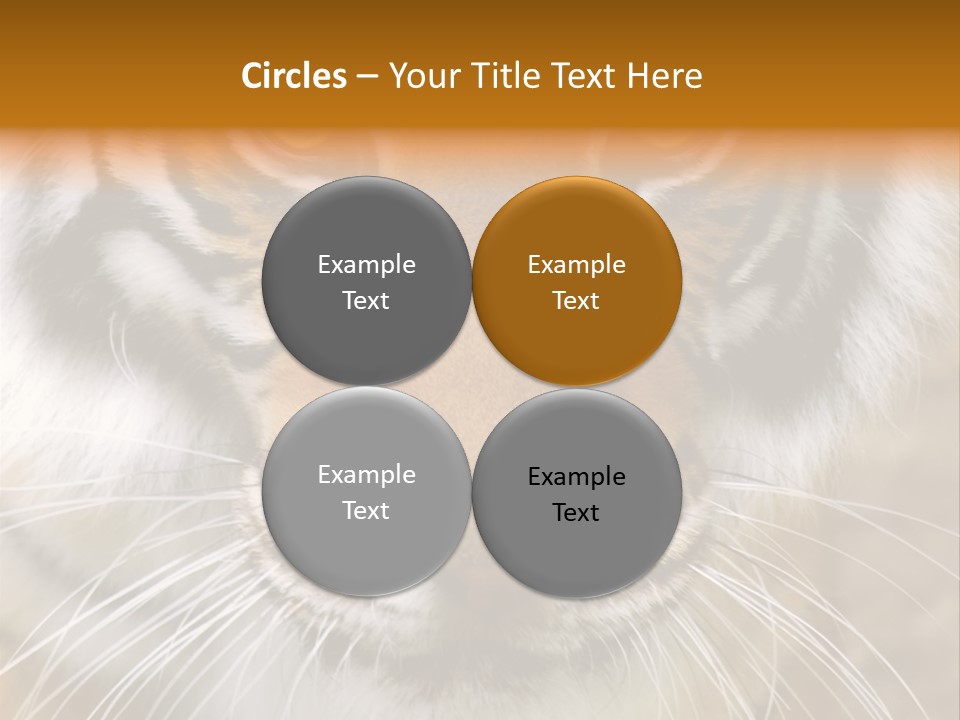 A Close Up Of A Tiger's Face With A Yellow Background PowerPoint Template