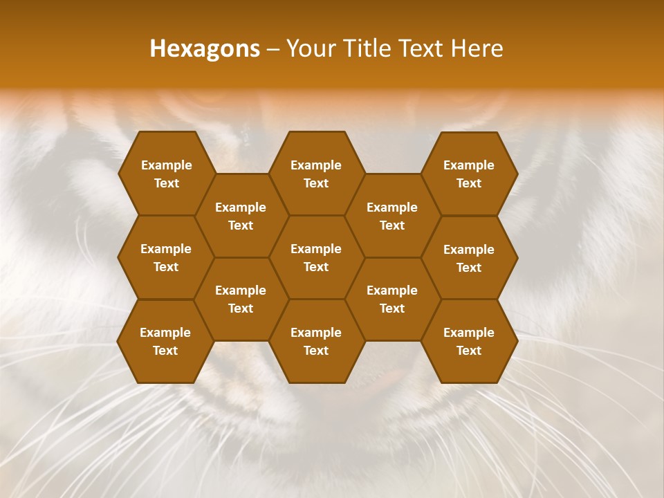A Close Up Of A Tiger's Face With A Yellow Background PowerPoint Template