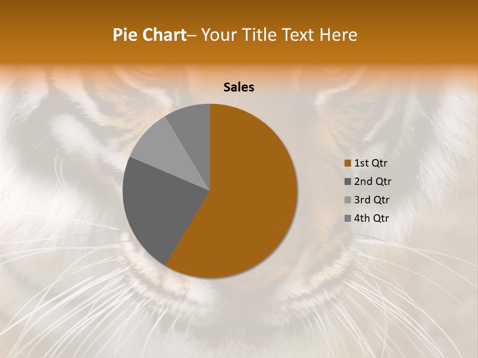 A Close Up Of A Tiger's Face With A Yellow Background PowerPoint Template