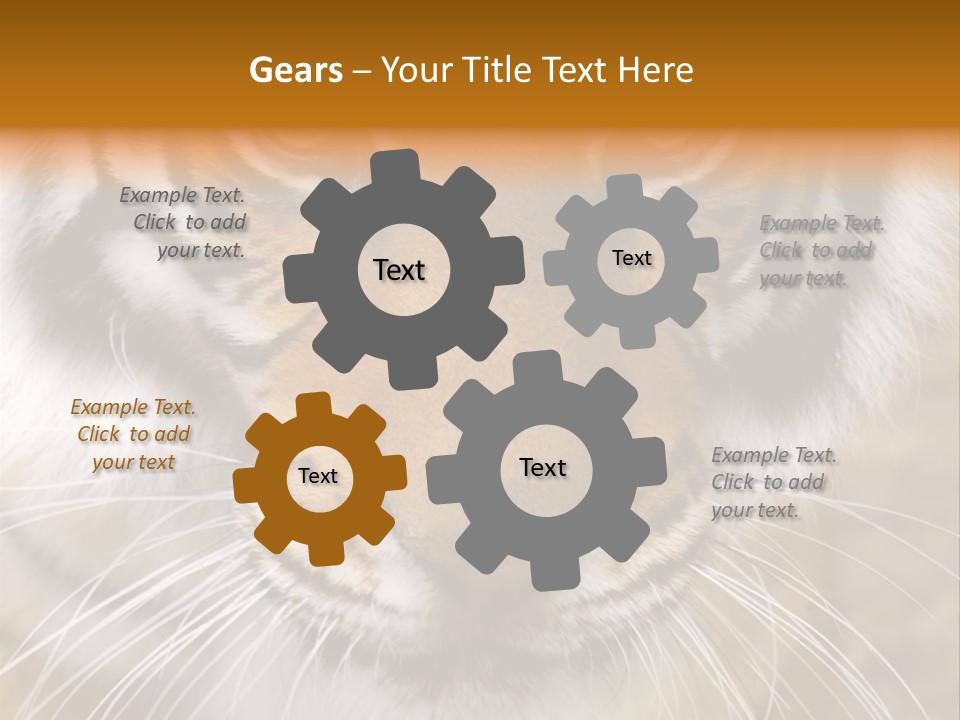 A Close Up Of A Tiger's Face With A Yellow Background PowerPoint Template