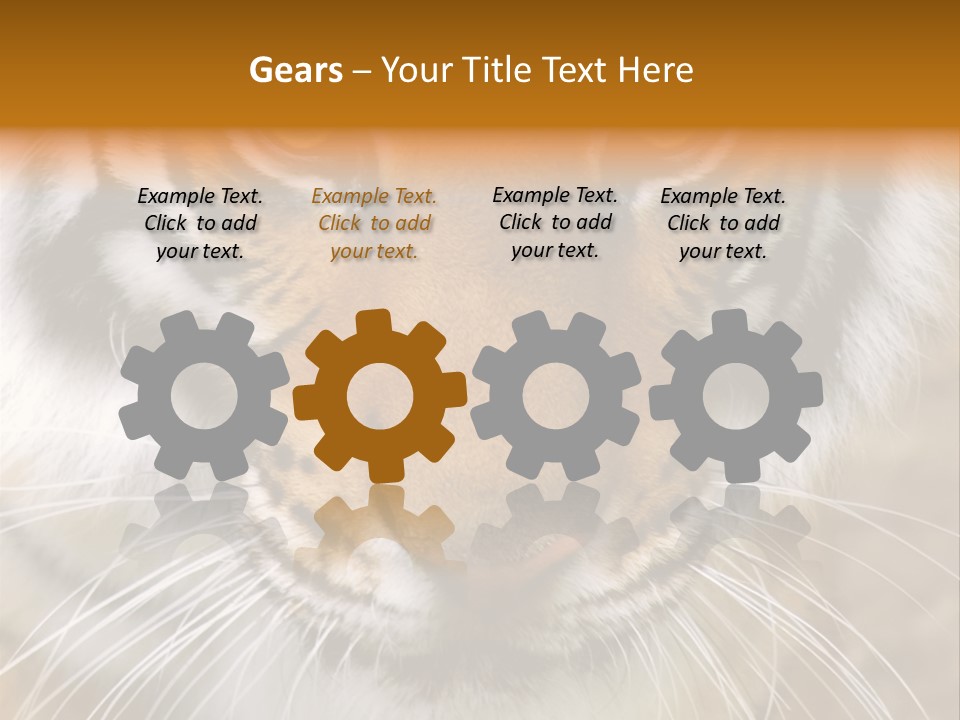 A Close Up Of A Tiger's Face With A Yellow Background PowerPoint Template