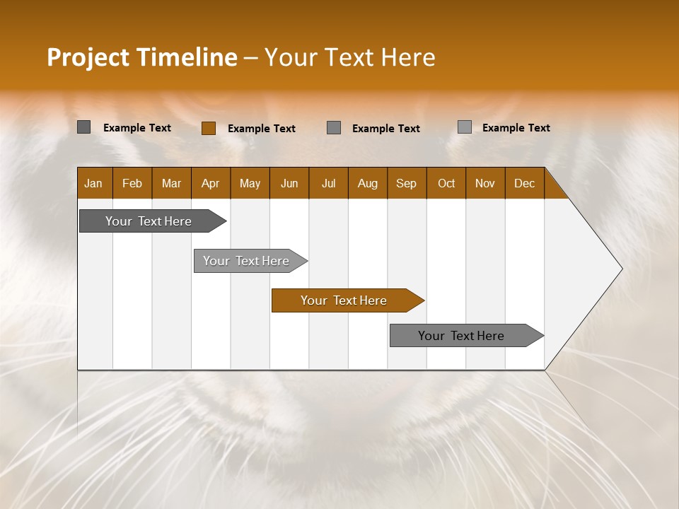 A Close Up Of A Tiger's Face With A Yellow Background PowerPoint Template