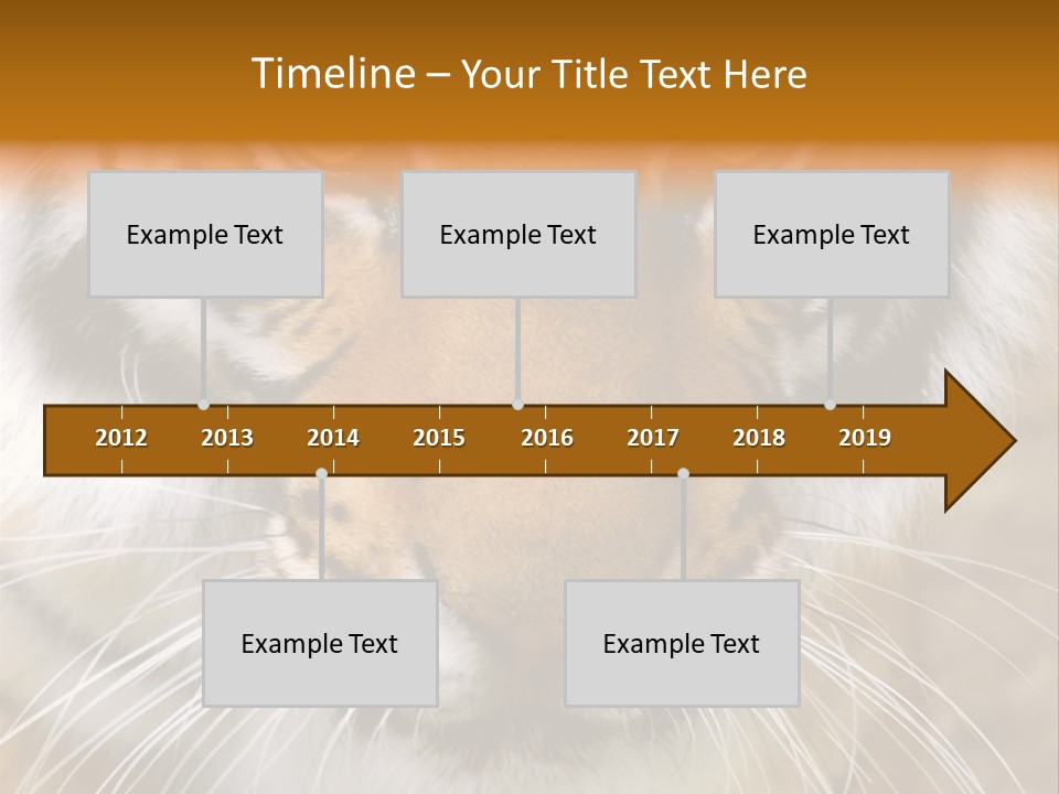 A Close Up Of A Tiger's Face With A Yellow Background PowerPoint Template