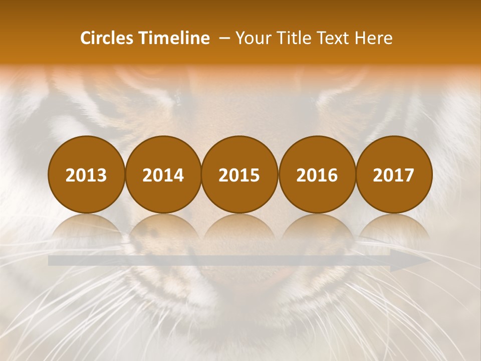 A Close Up Of A Tiger's Face With A Yellow Background PowerPoint Template