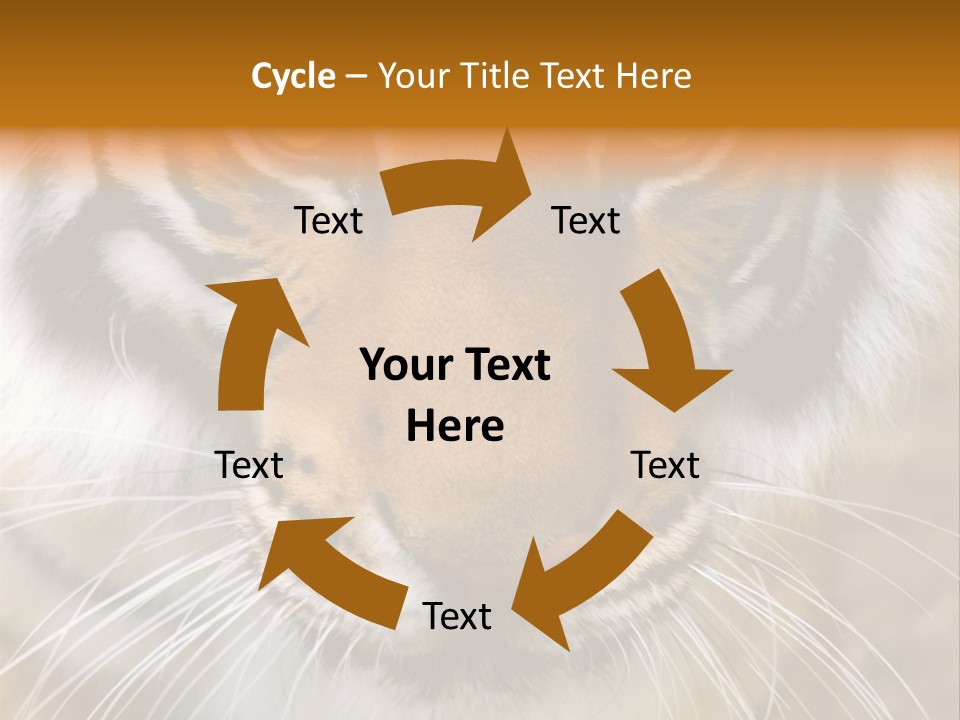 A Close Up Of A Tiger's Face With A Yellow Background PowerPoint Template