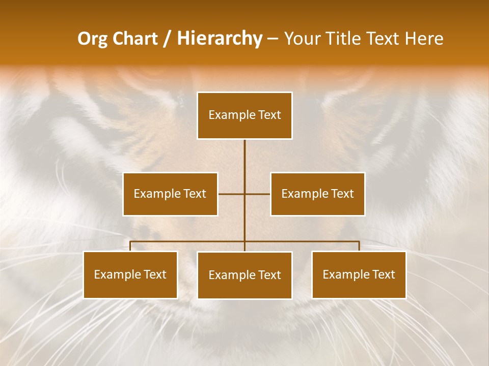 A Close Up Of A Tiger's Face With A Yellow Background PowerPoint Template