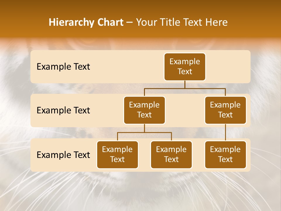 A Close Up Of A Tiger's Face With A Yellow Background PowerPoint Template