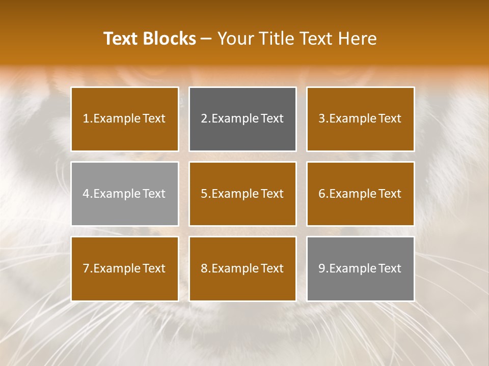 A Close Up Of A Tiger's Face With A Yellow Background PowerPoint Template