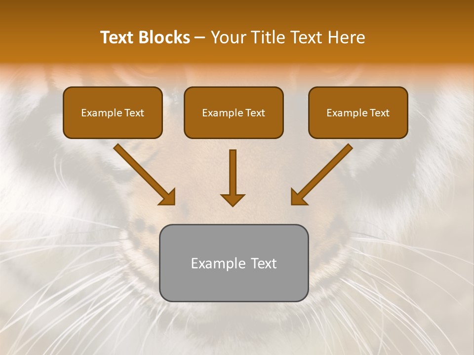 A Close Up Of A Tiger's Face With A Yellow Background PowerPoint Template