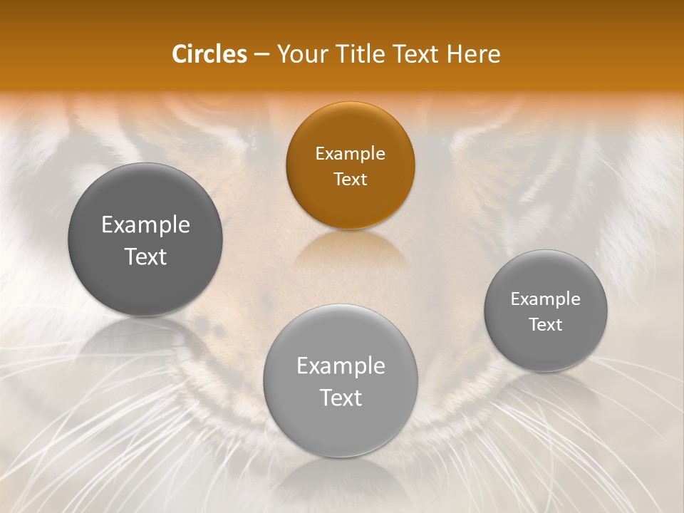 A Close Up Of A Tiger's Face With A Yellow Background PowerPoint Template