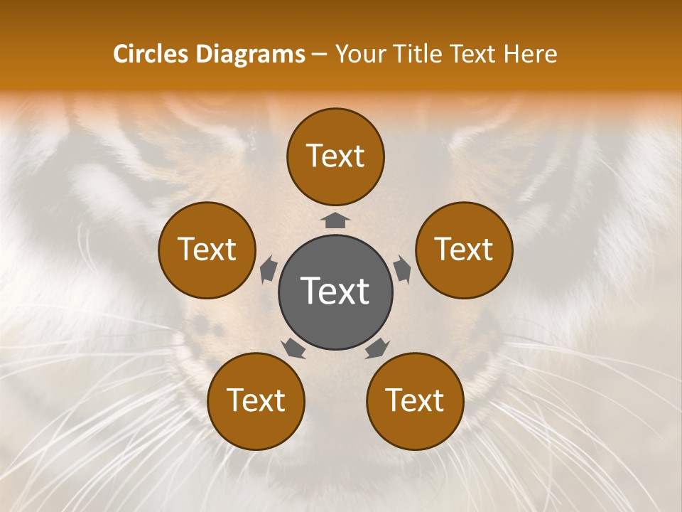 A Close Up Of A Tiger's Face With A Yellow Background PowerPoint Template