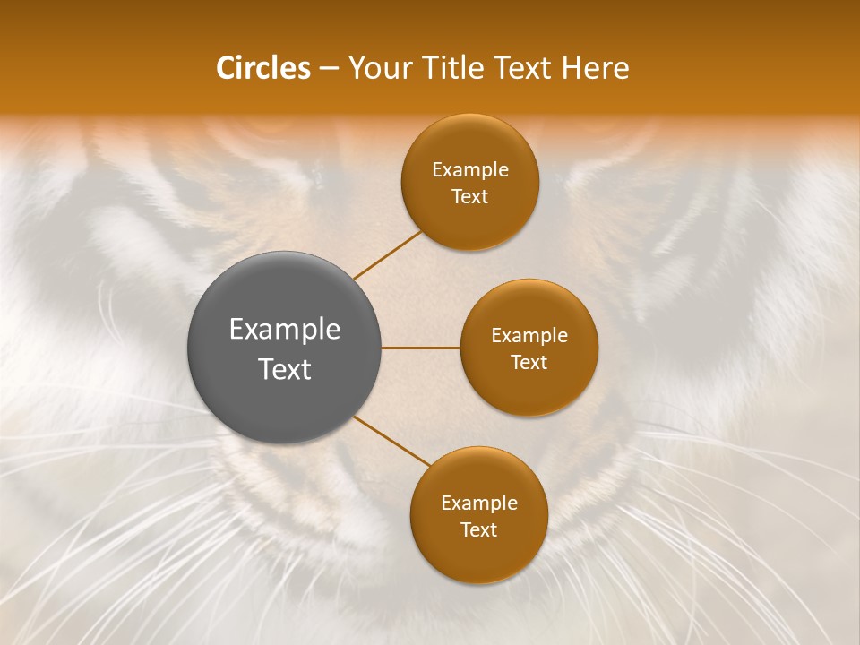 A Close Up Of A Tiger's Face With A Yellow Background PowerPoint Template