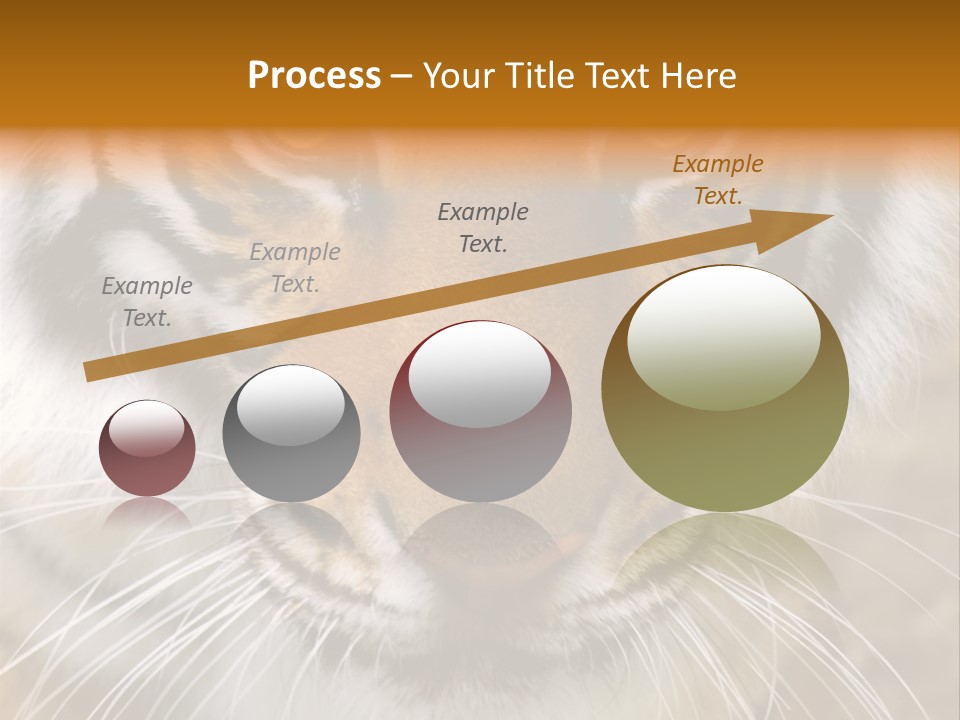 A Close Up Of A Tiger's Face With A Yellow Background PowerPoint Template
