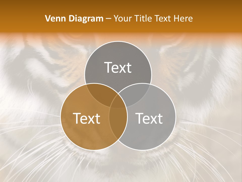 A Close Up Of A Tiger's Face With A Yellow Background PowerPoint Template