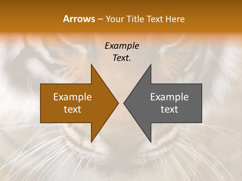 A Close Up Of A Tiger's Face With A Yellow Background PowerPoint Template