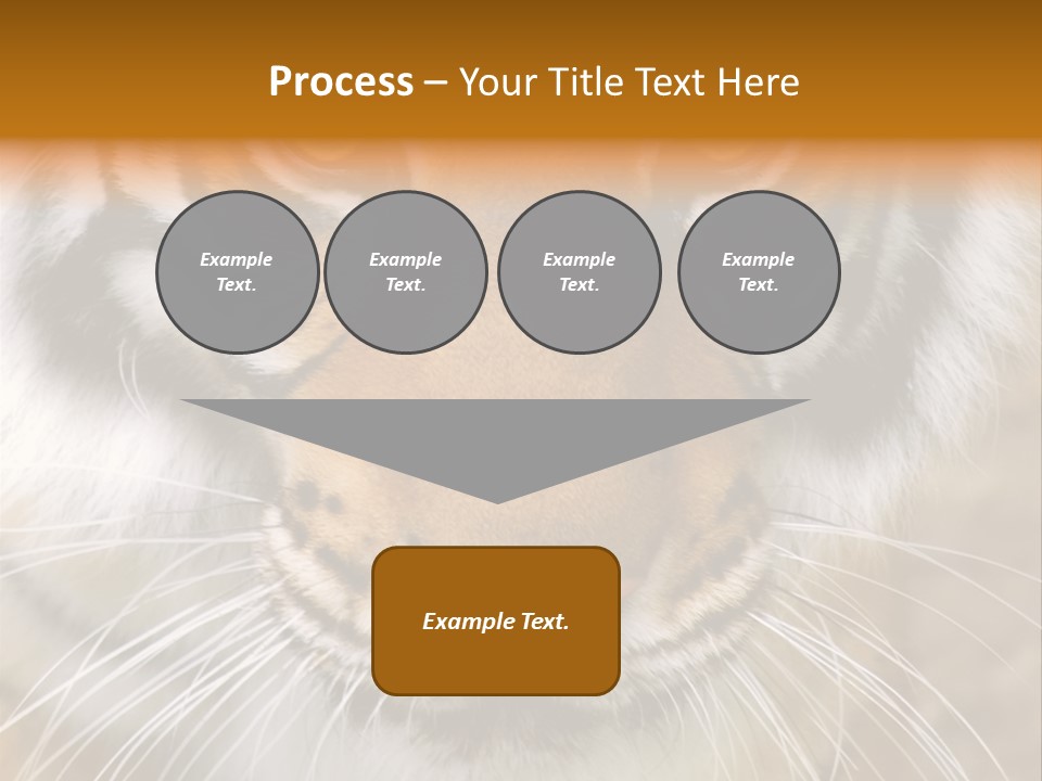 A Close Up Of A Tiger's Face With A Yellow Background PowerPoint Template