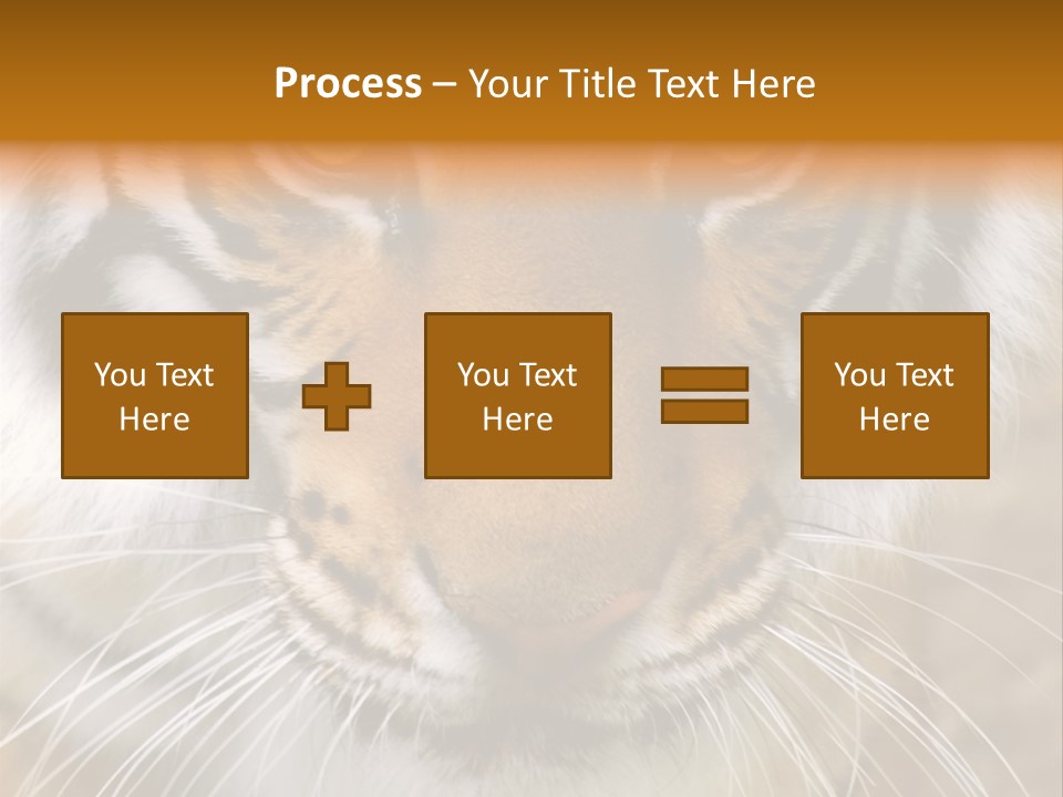 A Close Up Of A Tiger's Face With A Yellow Background PowerPoint Template