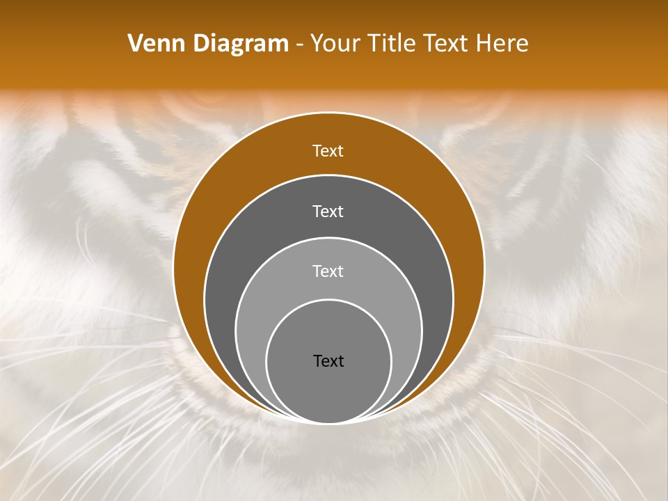 A Close Up Of A Tiger's Face With A Yellow Background PowerPoint Template
