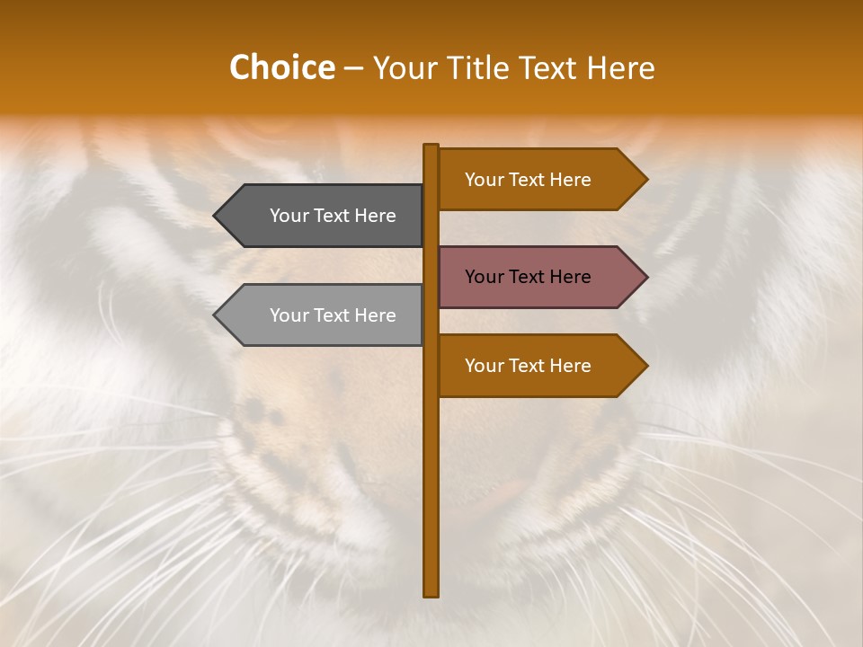 A Close Up Of A Tiger's Face With A Yellow Background PowerPoint Template