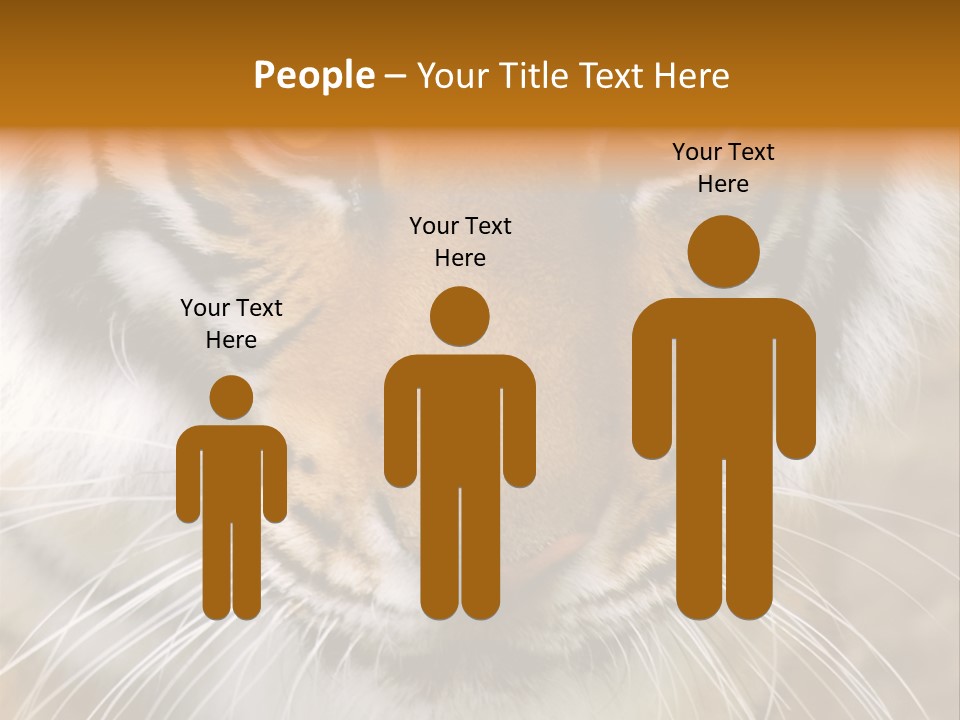 A Close Up Of A Tiger's Face With A Yellow Background PowerPoint Template