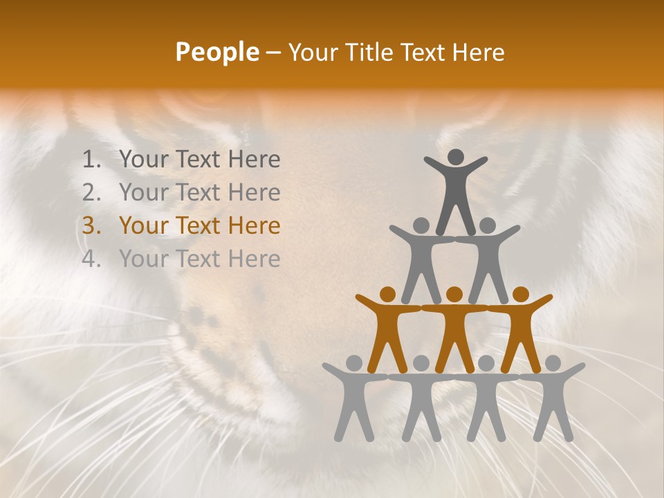 A Close Up Of A Tiger's Face With A Yellow Background PowerPoint Template