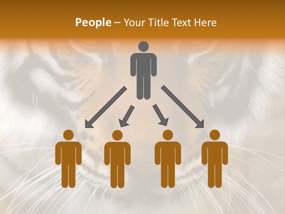 A Close Up Of A Tiger's Face With A Yellow Background PowerPoint Template