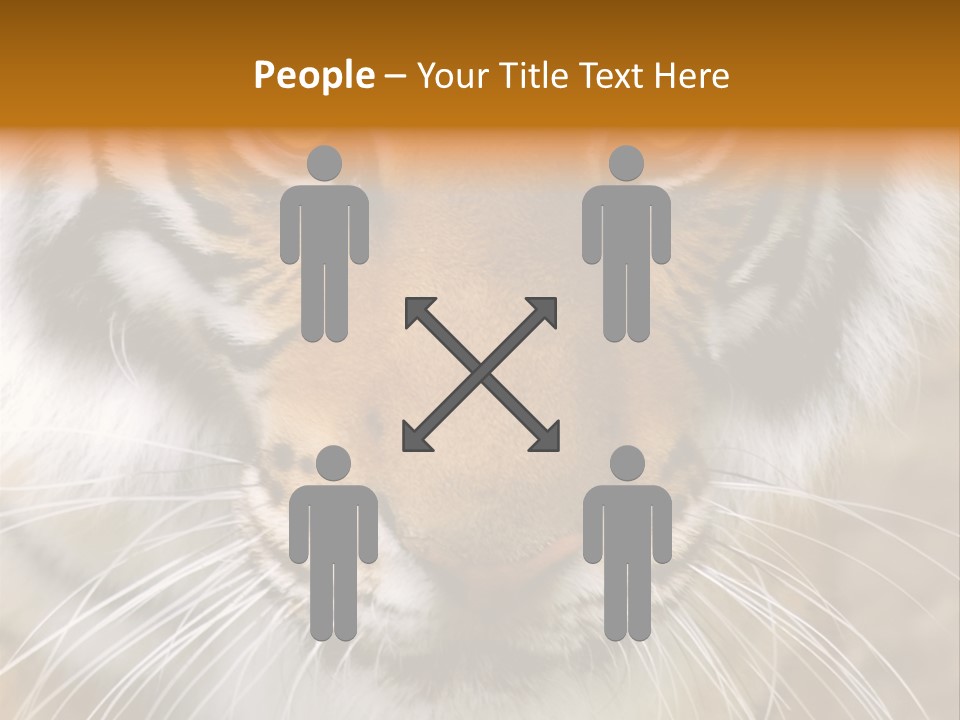 A Close Up Of A Tiger's Face With A Yellow Background PowerPoint Template