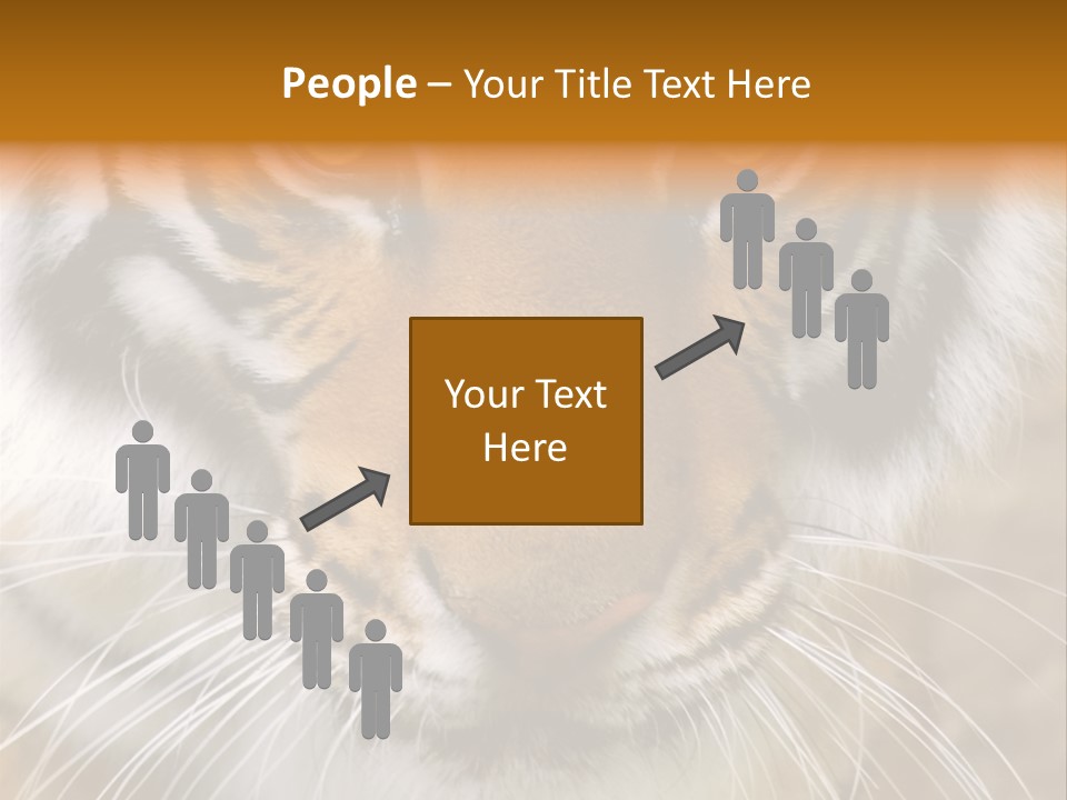 A Close Up Of A Tiger's Face With A Yellow Background PowerPoint Template