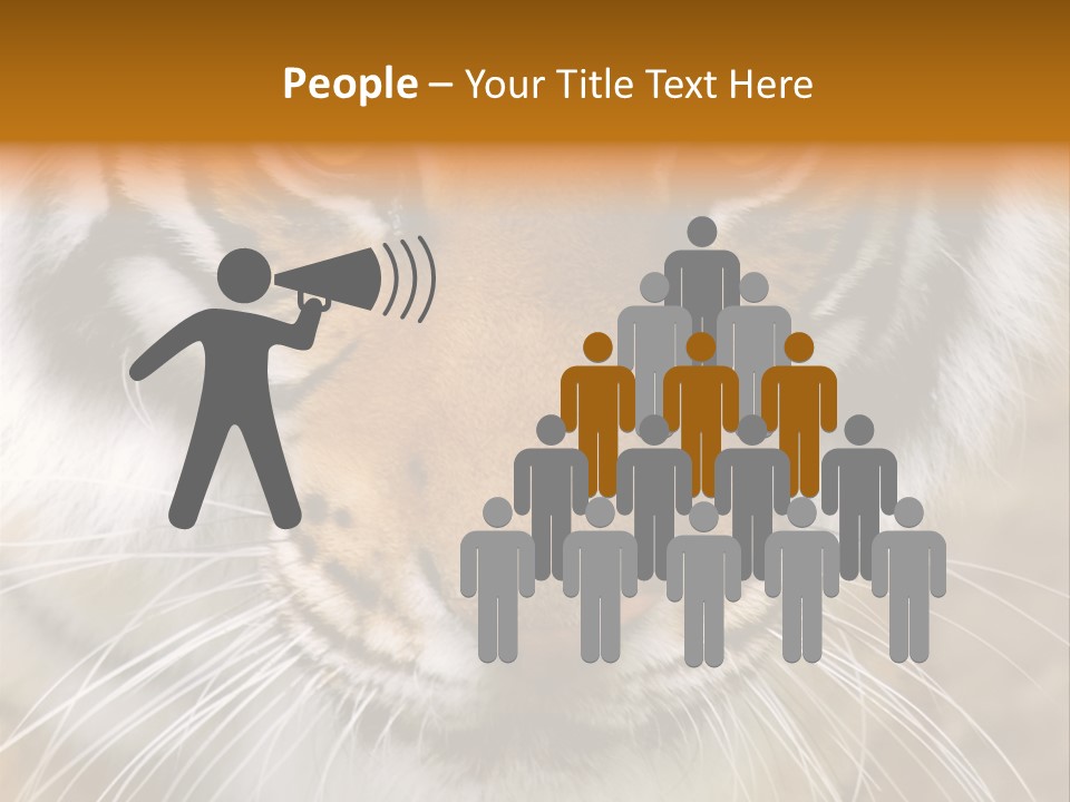 A Close Up Of A Tiger's Face With A Yellow Background PowerPoint Template