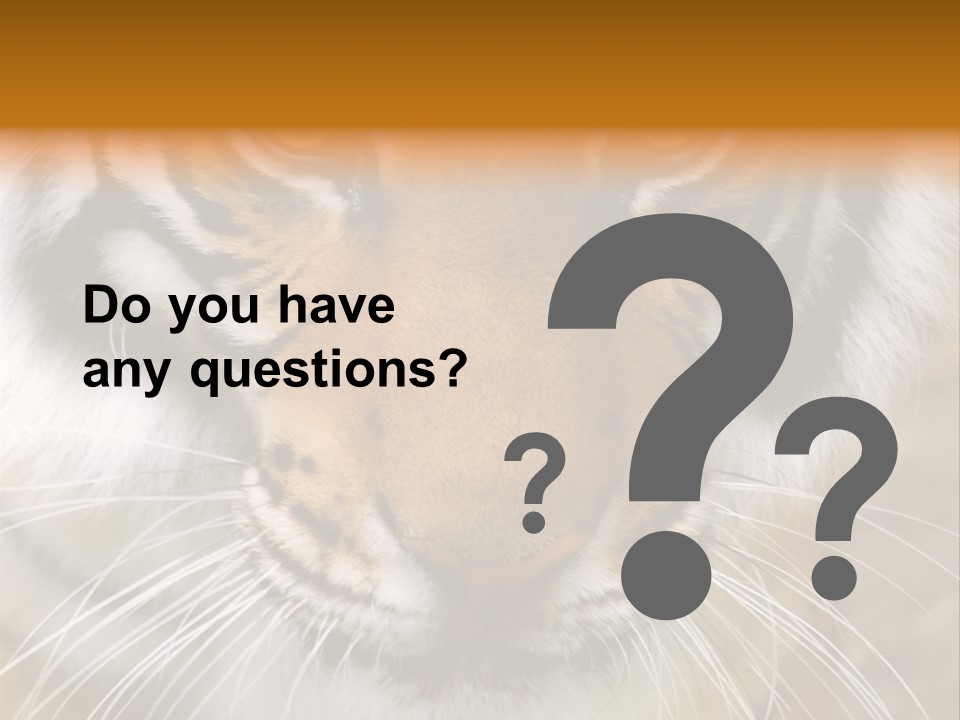 A Close Up Of A Tiger's Face With A Yellow Background PowerPoint Template