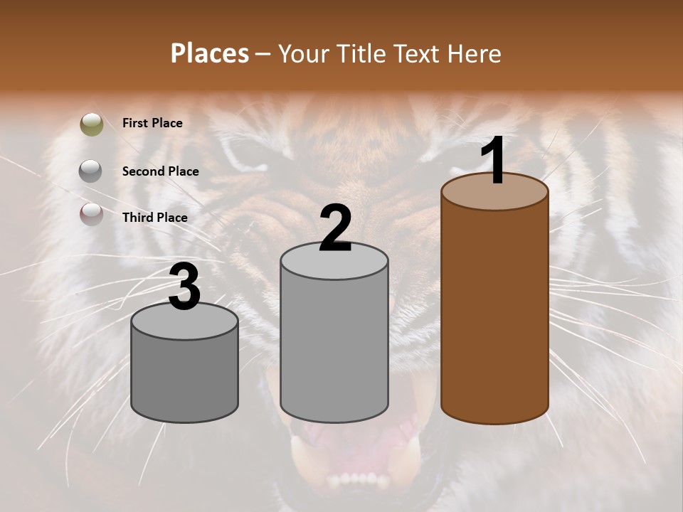 A Tiger With It's Mouth Open And It's Mouth Wide Open PowerPoint Template
