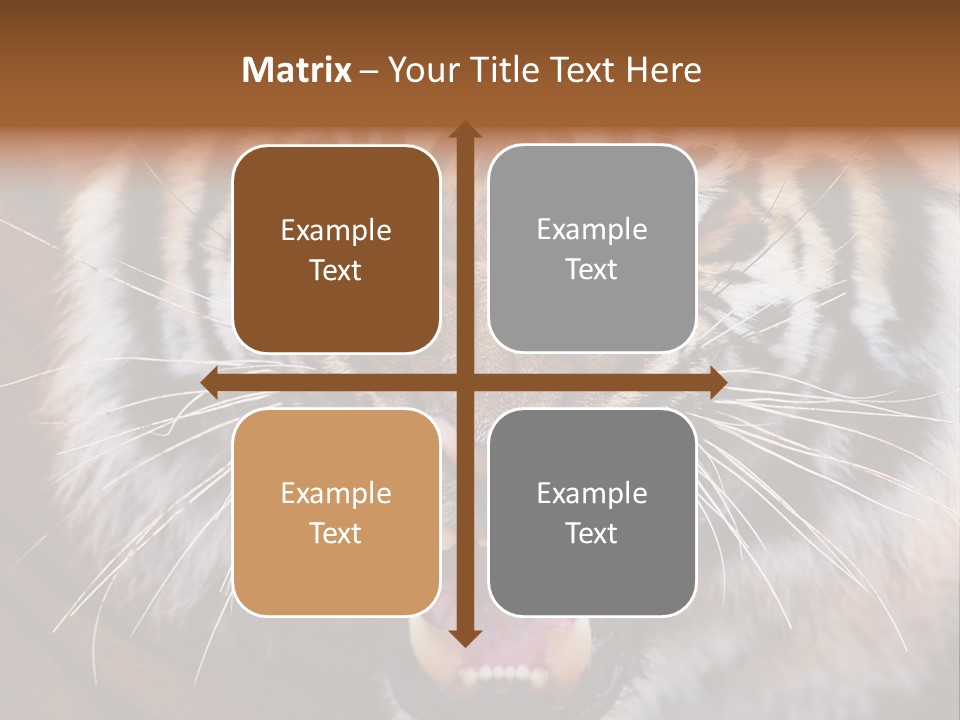 A Tiger With It's Mouth Open And It's Mouth Wide Open PowerPoint Template