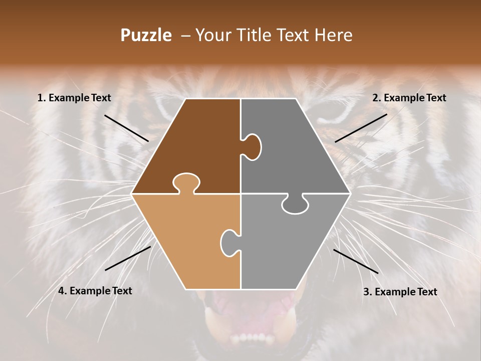 A Tiger With It's Mouth Open And It's Mouth Wide Open PowerPoint Template