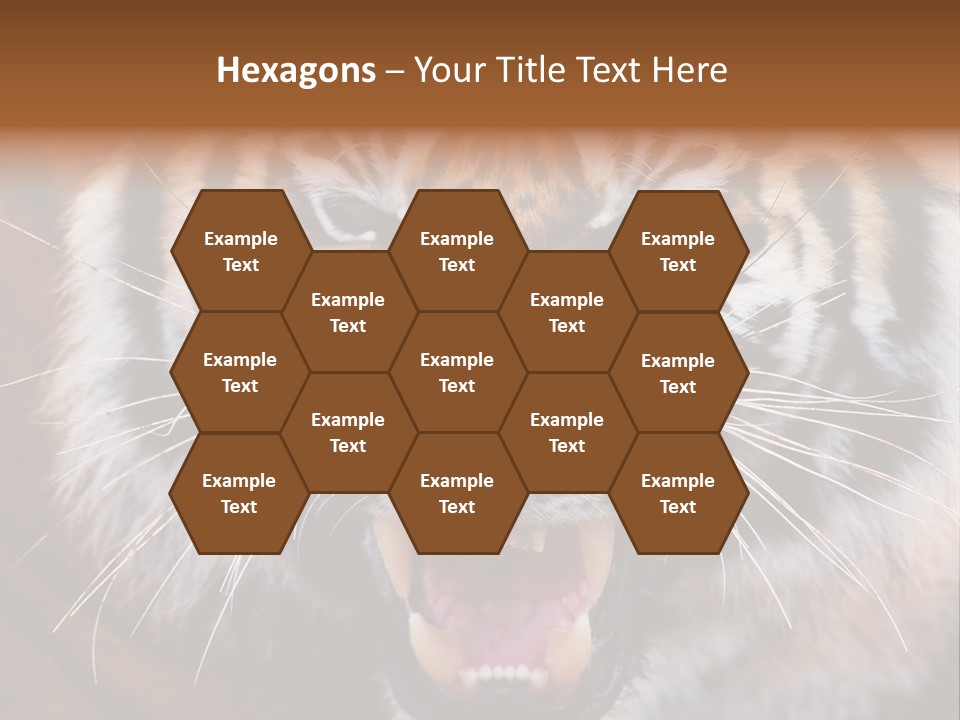 A Tiger With It's Mouth Open And It's Mouth Wide Open PowerPoint Template