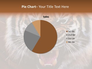 A Tiger With It's Mouth Open And It's Mouth Wide Open PowerPoint Template