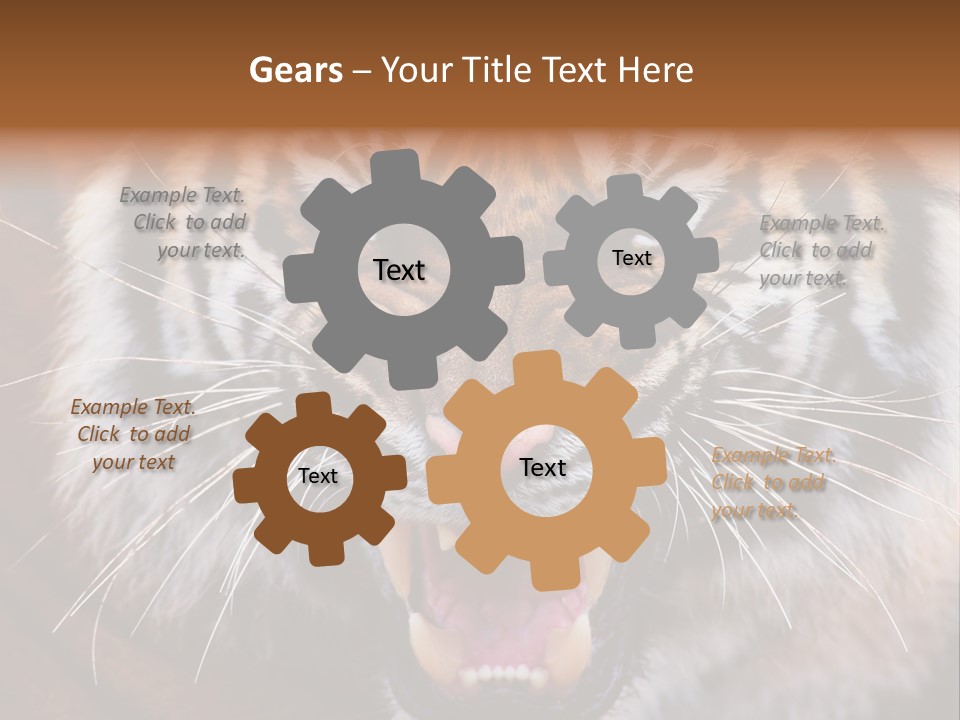 A Tiger With It's Mouth Open And It's Mouth Wide Open PowerPoint Template