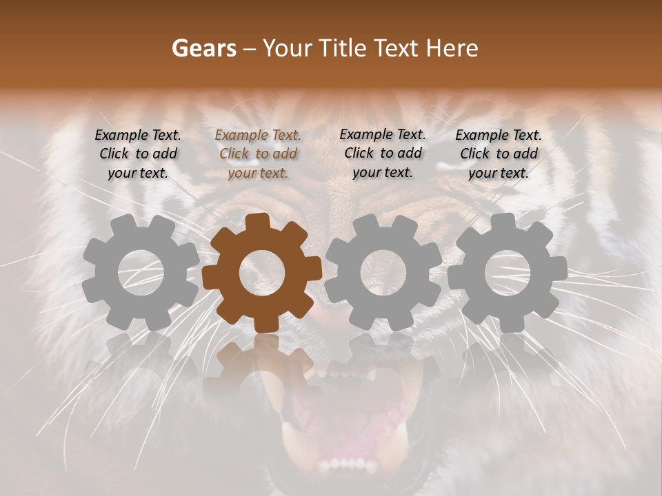 A Tiger With It's Mouth Open And It's Mouth Wide Open PowerPoint Template