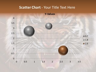 A Tiger With It's Mouth Open And It's Mouth Wide Open PowerPoint Template
