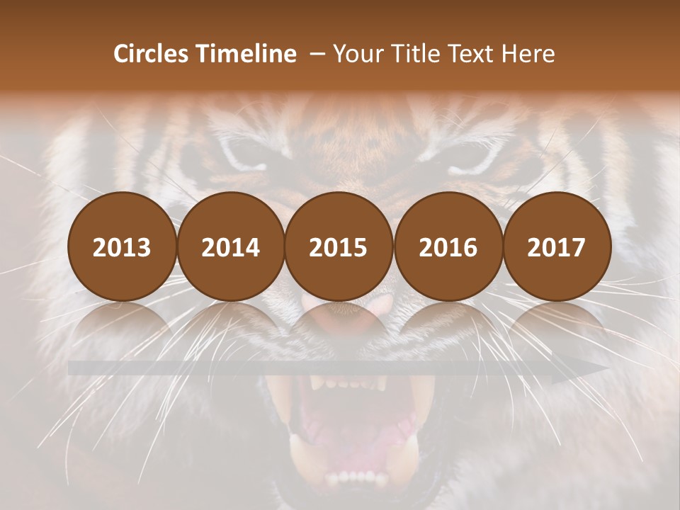 A Tiger With It's Mouth Open And It's Mouth Wide Open PowerPoint Template