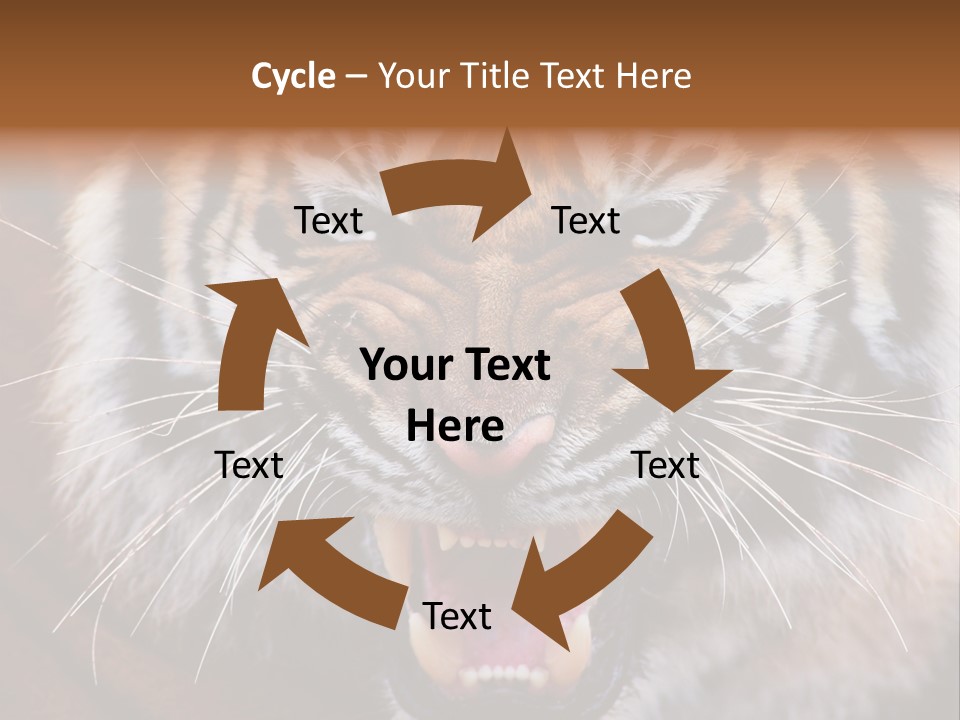 A Tiger With It's Mouth Open And It's Mouth Wide Open PowerPoint Template
