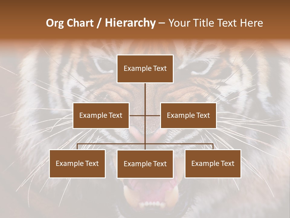 A Tiger With It's Mouth Open And It's Mouth Wide Open PowerPoint Template