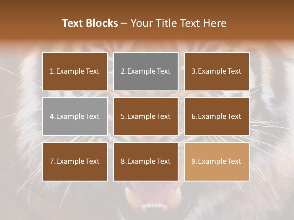 A Tiger With It's Mouth Open And It's Mouth Wide Open PowerPoint Template