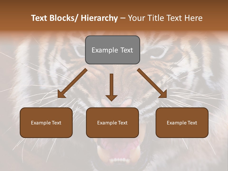 A Tiger With It's Mouth Open And It's Mouth Wide Open PowerPoint Template