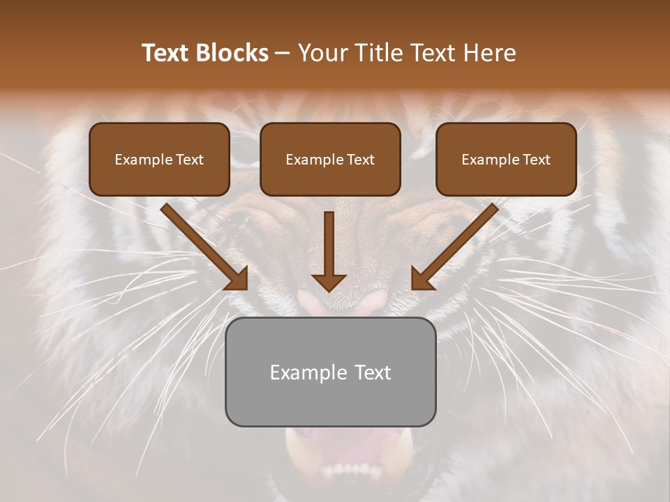 A Tiger With It's Mouth Open And It's Mouth Wide Open PowerPoint Template